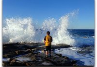 Breaking Waves At Point Cartwright Sunshine Coast